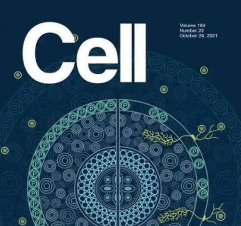 祝賀王二濤老師團(tuán)隊(duì)又一佳作榮登Cell期刊！