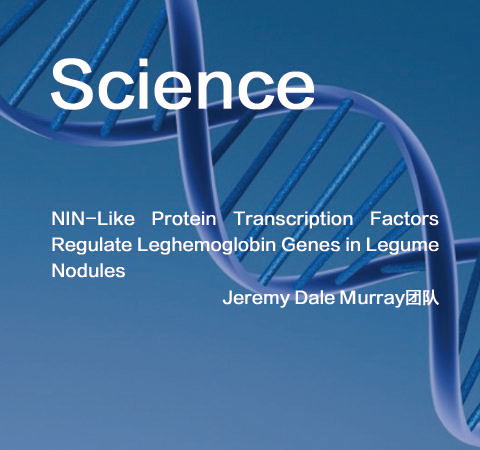 祝賀Jeremy Dale Murray團(tuán)隊(duì)佳作榮登Science期刊！