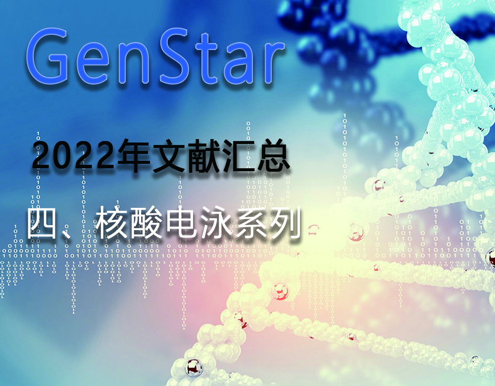 GenStar 2022年文獻(xiàn)匯總（四、核酸電泳系列）